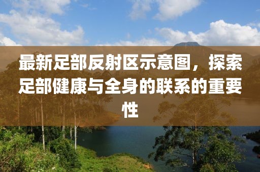 最新足部反射區(qū)示意圖，探索足部健康與全身的聯(lián)系的重要性