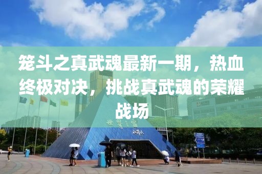 籠斗之真武魂最新一期，熱血終極對決，挑戰(zhàn)真武魂的榮耀戰(zhàn)場