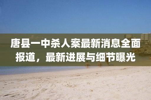 唐縣一中殺人案最新消息全面報(bào)道，最新進(jìn)展與細(xì)節(jié)曝光