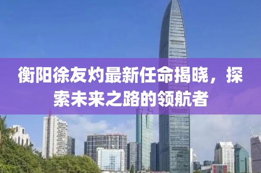 衡陽(yáng)徐友灼最新任命揭曉，探索未來(lái)之路的領(lǐng)航者