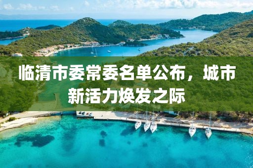 臨清市委常委名單公布，城市新活力煥發(fā)之際