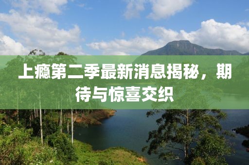 上癮第二季最新消息揭秘，期待與驚喜交織