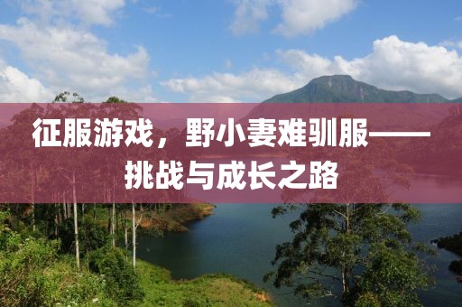 征服游戲，野小妻難馴服——挑戰(zhàn)與成長(zhǎng)之路