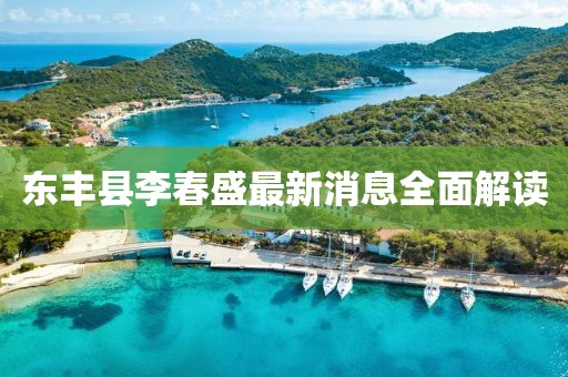 東豐縣李春盛最新消息全面解讀