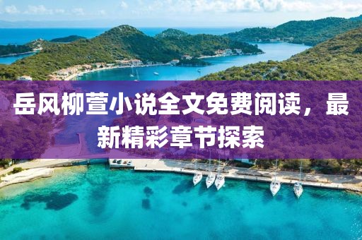 岳風(fēng)柳萱小說(shuō)全文免費(fèi)閱讀，最新精彩章節(jié)探索