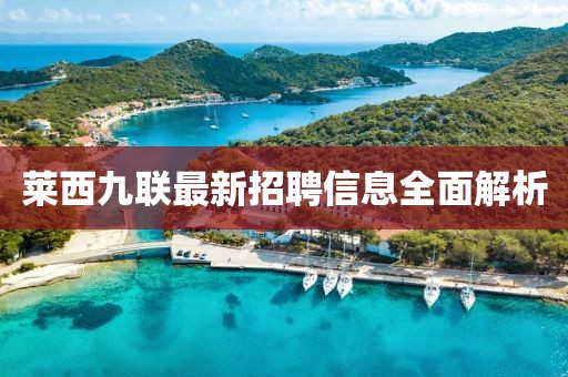 萊西九聯(lián)最新招聘信息全面解析