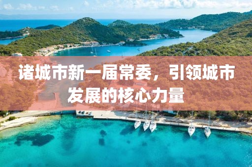 諸城市新一屆常委，引領(lǐng)城市發(fā)展的核心力量