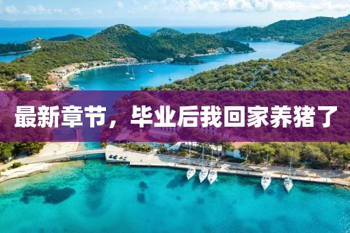 最新章節(jié)，畢業(yè)后我回家養(yǎng)豬了