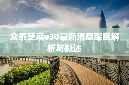 眾泰芝麻e30最新消息深度解析與概述