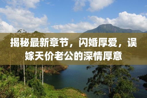 揭秘最新章節(jié)，閃婚厚愛，誤嫁天價(jià)老公的深情厚意