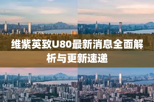 維紫英致U80最新消息全面解析與更新速遞