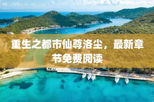 重生之都市仙尊洛塵，最新章節(jié)免費(fèi)閱讀