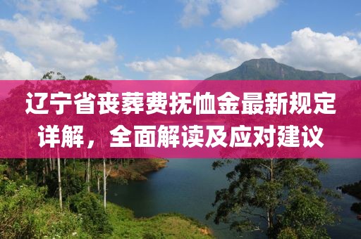 遼寧省喪葬費(fèi)撫恤金最新規(guī)定詳解，全面解讀及應(yīng)對(duì)建議
