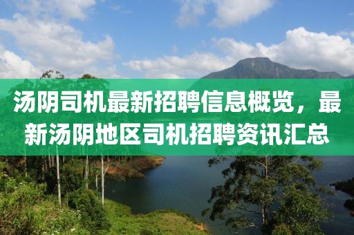 湯陰司機最新招聘信息概覽，最新湯陰地區(qū)司機招聘資訊匯總