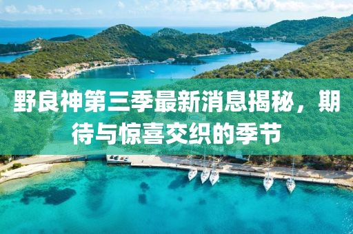 野良神第三季最新消息揭秘，期待與驚喜交織的季節(jié)