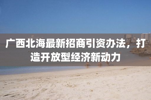 廣西北海最新招商引資辦法，打造開放型經(jīng)濟新動力