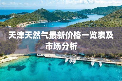 天津天然氣最新價(jià)格一覽表及市場分析
