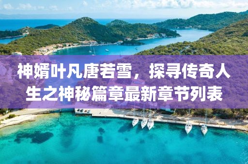 神婿葉凡唐若雪，探尋傳奇人生之神秘篇章最新章節(jié)列表