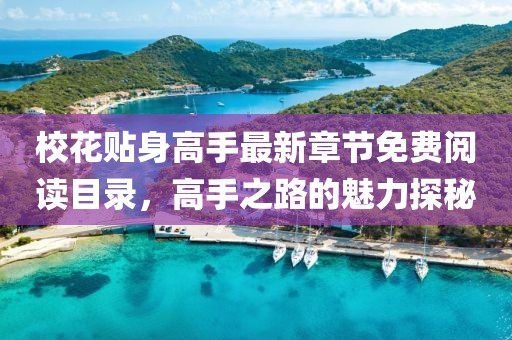校花貼身高手最新章節(jié)免費(fèi)閱讀目錄，高手之路的魅力探秘