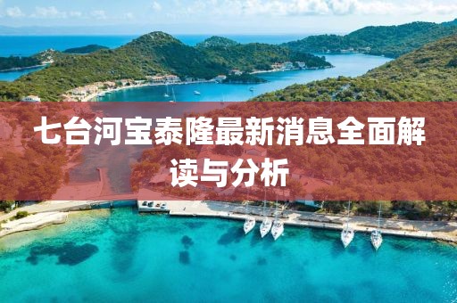 七臺(tái)河寶泰隆最新消息全面解讀與分析