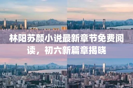 林陽蘇顏小說最新章節(jié)免費(fèi)閱讀，初六新篇章揭曉