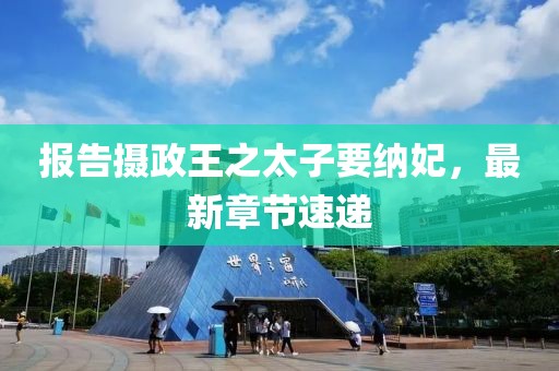報告攝政王之太子要納妃，最新章節(jié)速遞