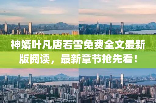 神婿葉凡唐若雪免費(fèi)全文最新版閱讀，最新章節(jié)搶先看！