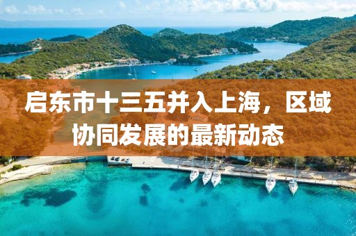 啟東市十三五并入上海，區(qū)域協(xié)同發(fā)展的最新動態(tài)