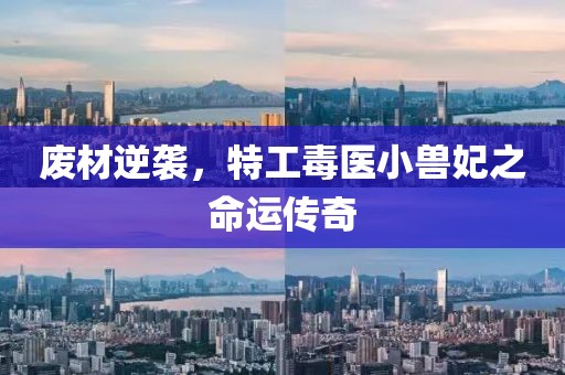 廢材逆襲，特工毒醫(yī)小獸妃之命運(yùn)傳奇