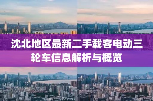 沈北地區(qū)最新二手載客電動(dòng)三輪車(chē)信息解析與概覽