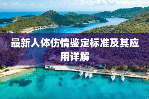 最新人體傷情鑒定標(biāo)準(zhǔn)及其應(yīng)用詳解
