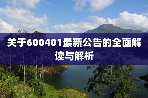 關于600401最新公告的全面解讀與解析