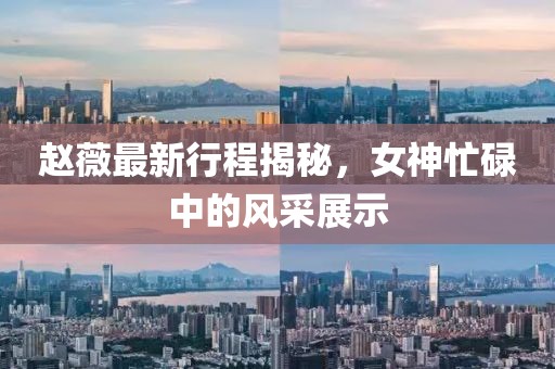 趙薇最新行程揭秘，女神忙碌中的風(fēng)采展示