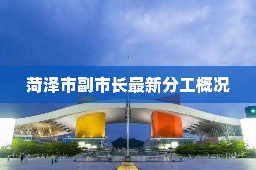菏澤市副市長最新分工概況
