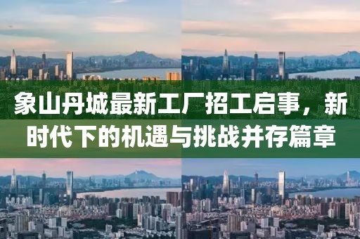 象山丹城最新工廠招工啟事，新時代下的機遇與挑戰(zhàn)并存篇章