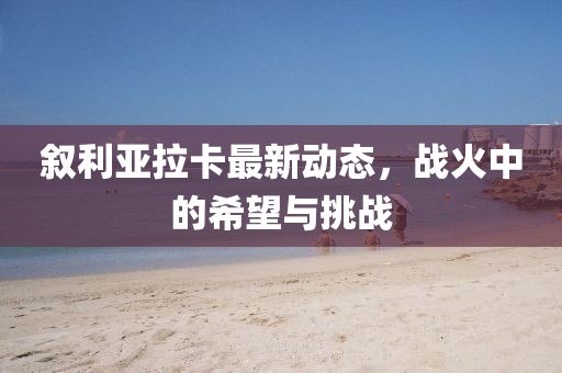 敘利亞拉卡最新動態(tài)，戰(zhàn)火中的希望與挑戰(zhàn)