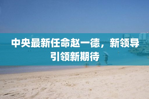 中央最新任命趙一德，新領(lǐng)導(dǎo)引領(lǐng)新期待