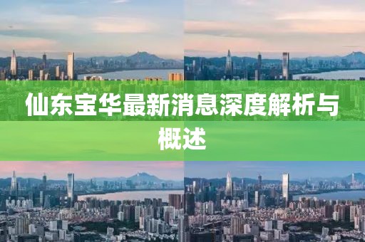 仙東寶華最新消息深度解析與概述