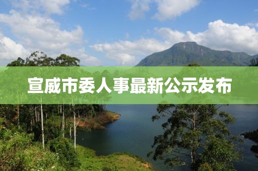 宣威市委人事最新公示發(fā)布