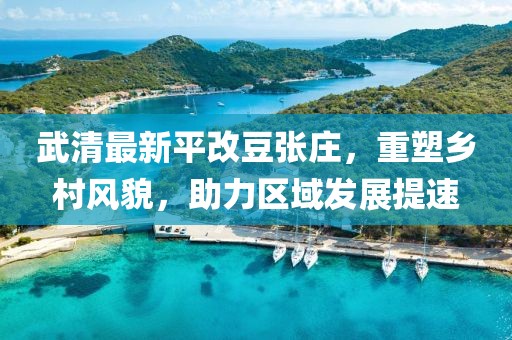 武清最新平改豆張莊，重塑鄉(xiāng)村風貌，助力區(qū)域發(fā)展提速