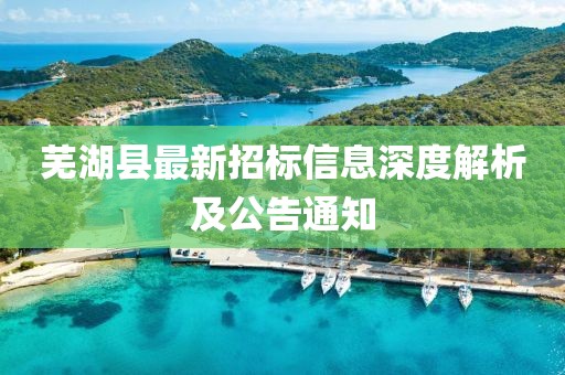蕪湖縣最新招標(biāo)信息深度解析及公告通知