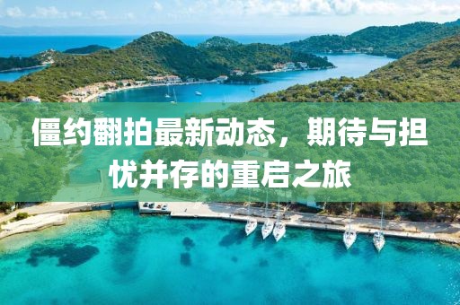 僵約翻拍最新動(dòng)態(tài)，期待與擔(dān)憂并存的重啟之旅