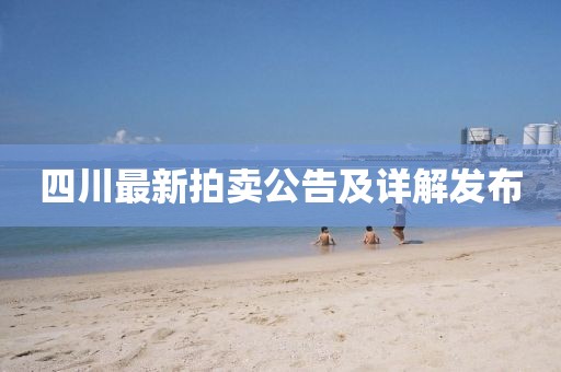四川最新拍賣公告及詳解發(fā)布