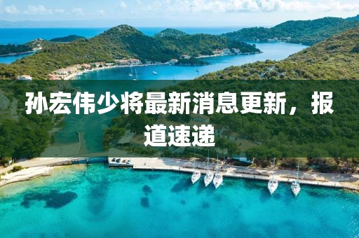 孫宏偉少將最新消息更新，報(bào)道速遞