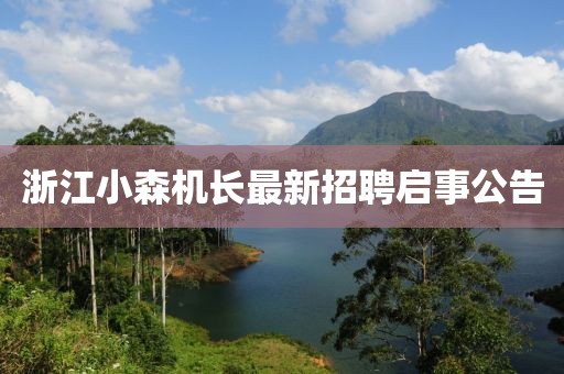 浙江小森機(jī)長最新招聘啟事公告