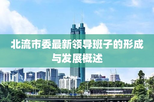 北流市委最新領(lǐng)導(dǎo)班子的形成與發(fā)展概述