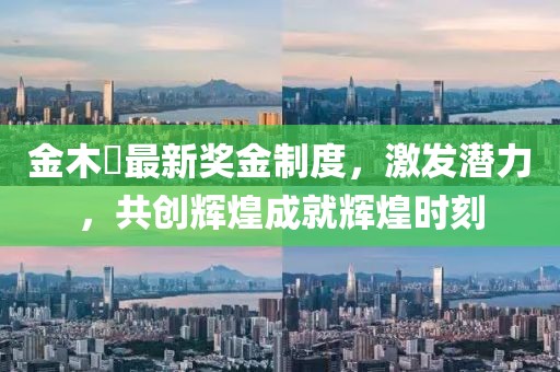 金木芃最新獎(jiǎng)金制度，激發(fā)潛力，共創(chuàng)輝煌成就輝煌時(shí)刻