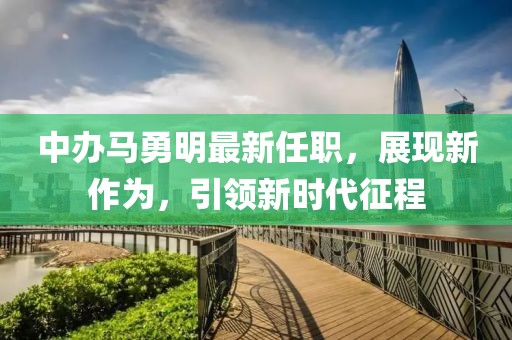 中辦馬勇明最新任職，展現(xiàn)新作為，引領(lǐng)新時代征程
