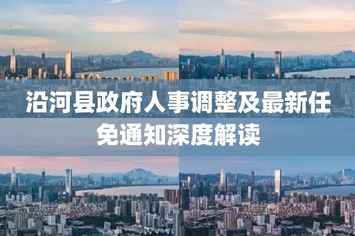 沿河縣政府人事調(diào)整及最新任免通知深度解讀