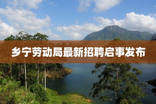 鄉(xiāng)寧勞動局最新招聘啟事發(fā)布
